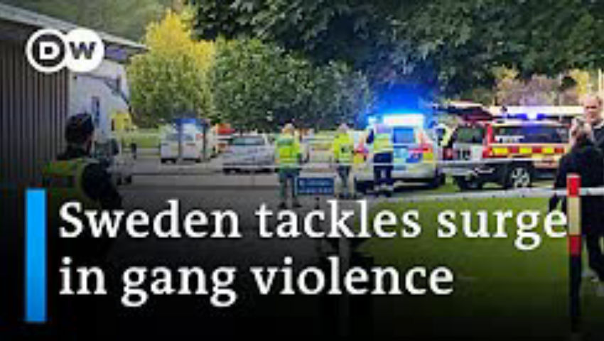 Combatting Sweden's Surging Gang Violence DW News - SwebbTube