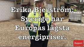 Vad kan gå fel, Erika Bjerström? by Martin Stensö